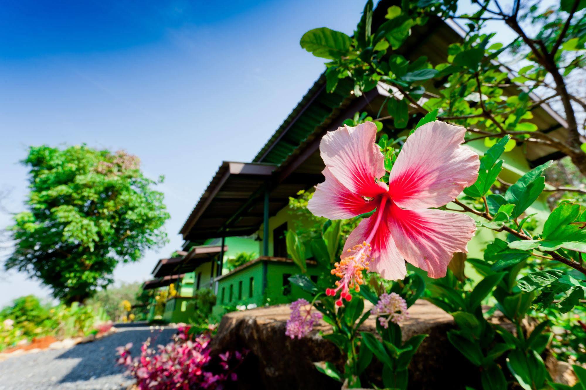 The Mouth Resort - Sha Extra Plus Khao Lak Buitenkant foto